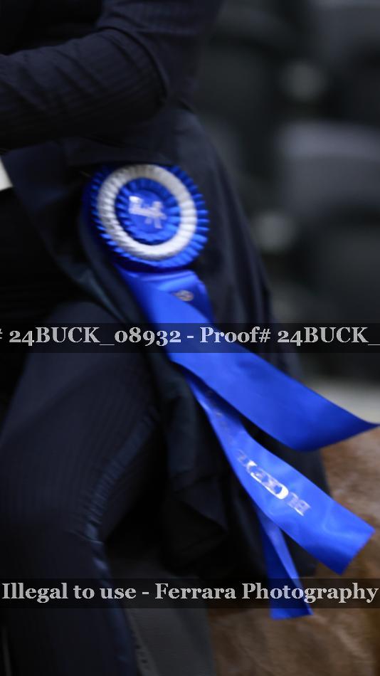 Proof 24BUCK_08932