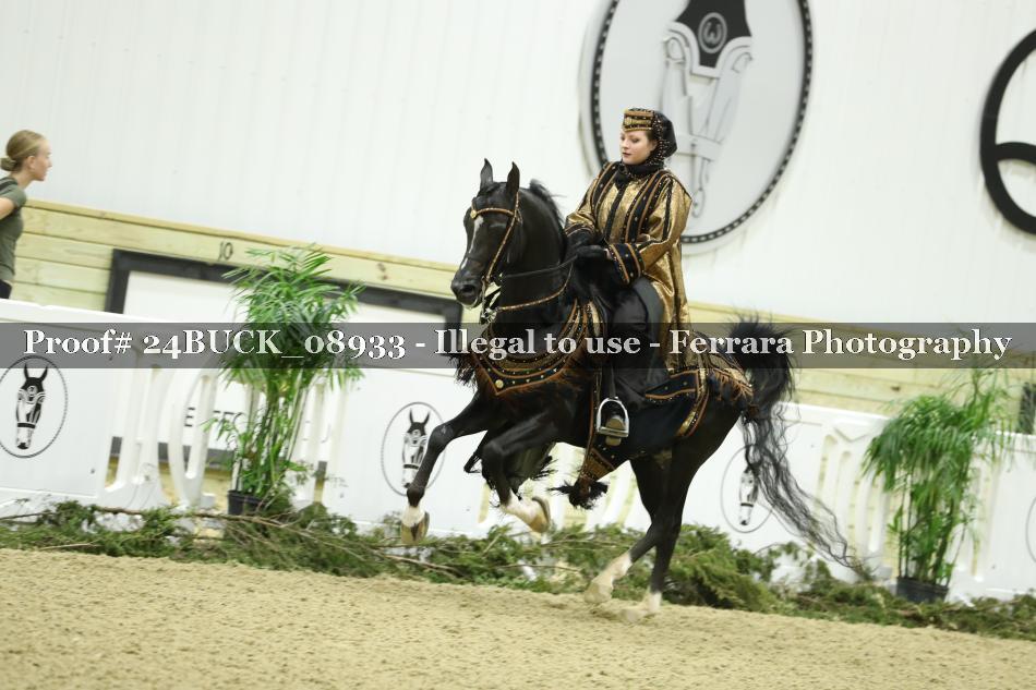 Proof 24BUCK_08933