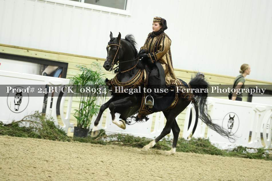 Proof 24BUCK_08934