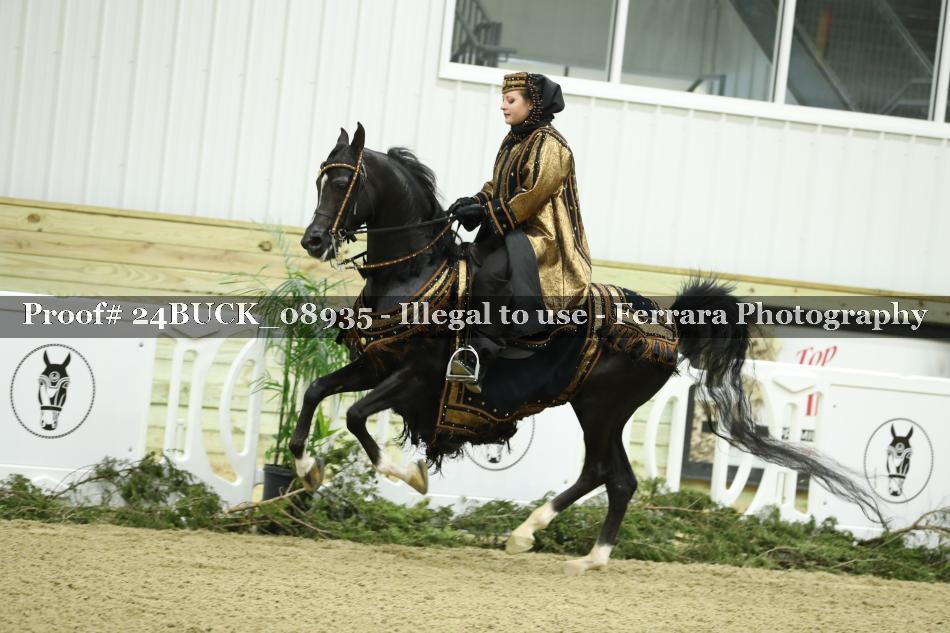 Proof 24BUCK_08935