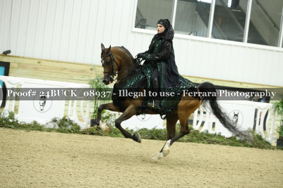 Proof 24BUCK_08937