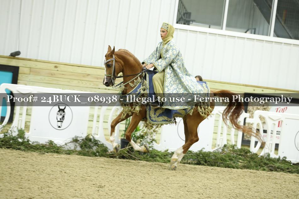 Proof 24BUCK_08938