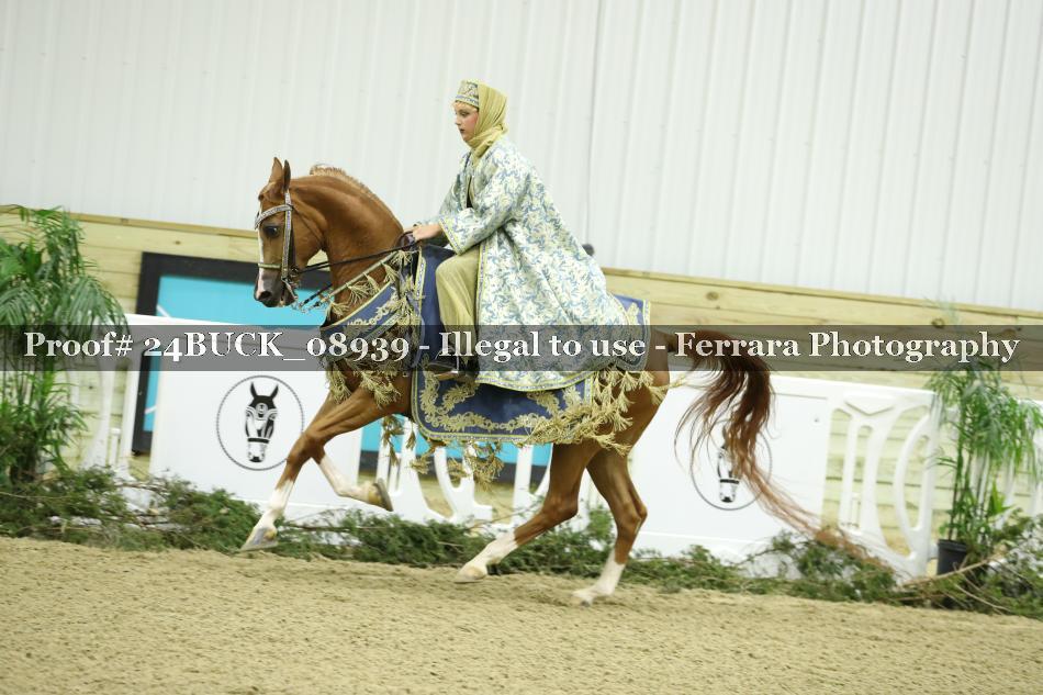 Proof 24BUCK_08939