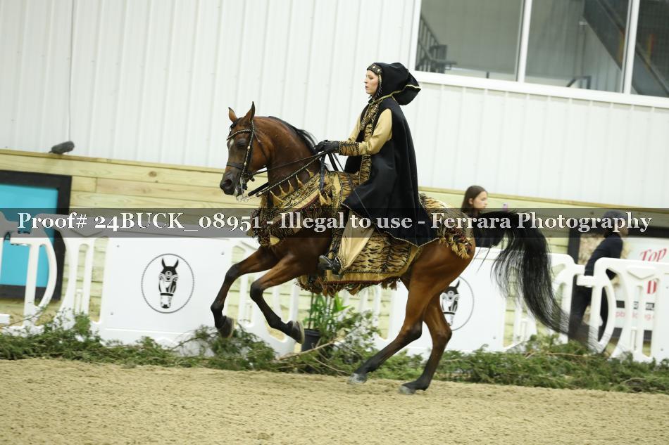 Proof 24BUCK_08951