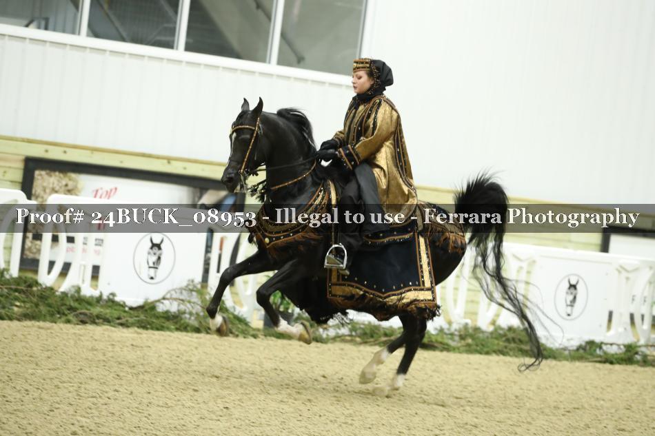 Proof 24BUCK_08953
