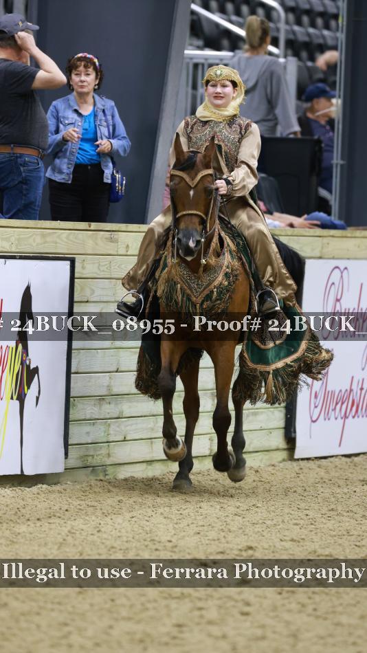 Proof 24BUCK_08955