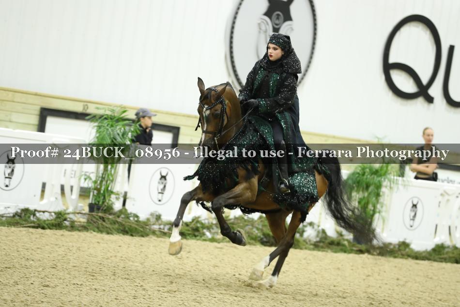 Proof 24BUCK_08956