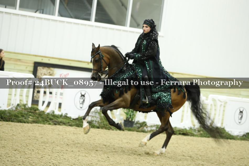 Proof 24BUCK_08957