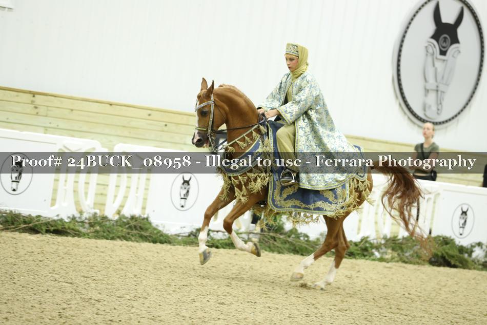Proof 24BUCK_08958