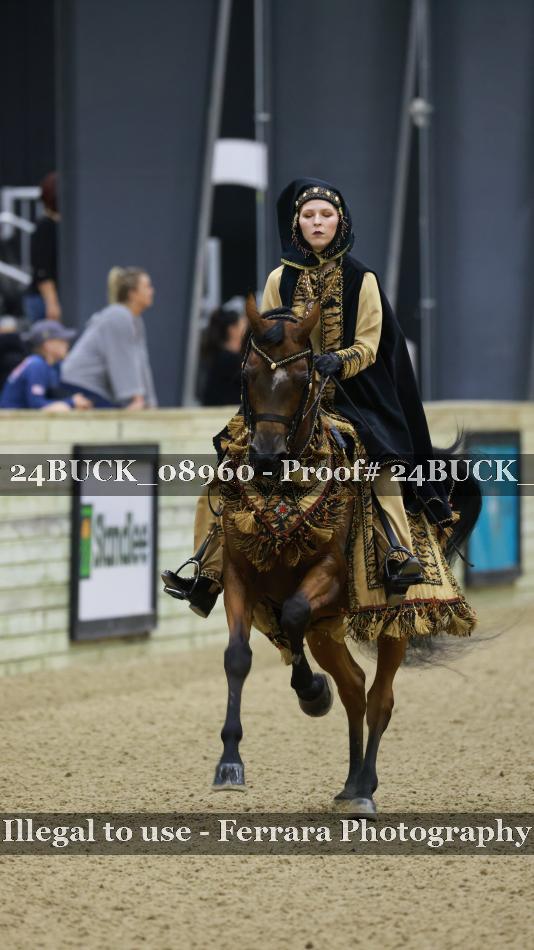 Proof 24BUCK_08960