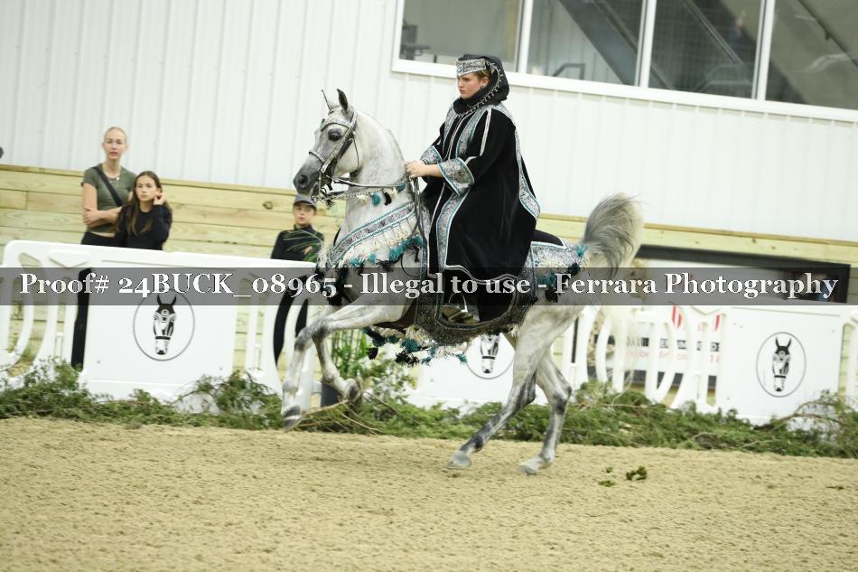 Proof 24BUCK_08965