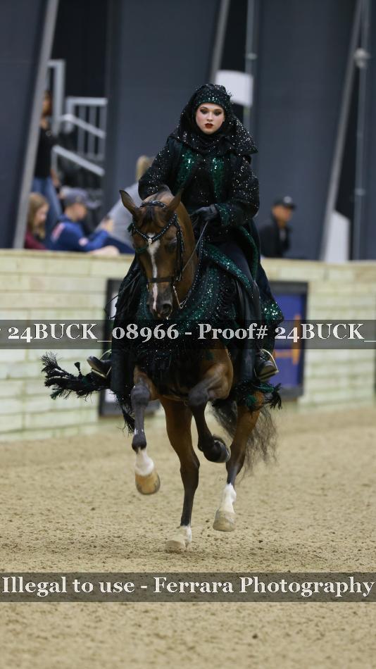 Proof 24BUCK_08966