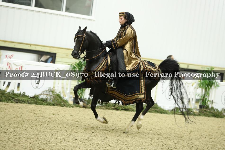 Proof 24BUCK_08970