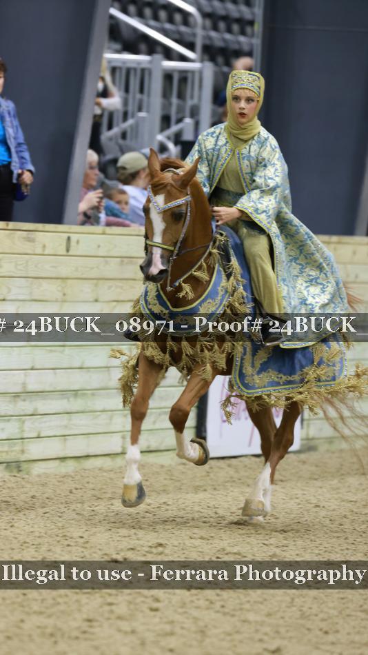 Proof 24BUCK_08971