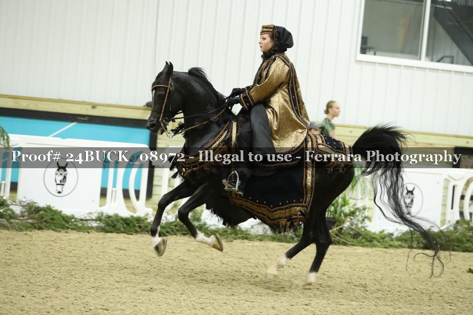 Proof 24BUCK_08972