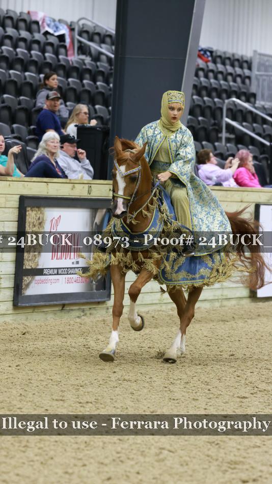 Proof 24BUCK_08973