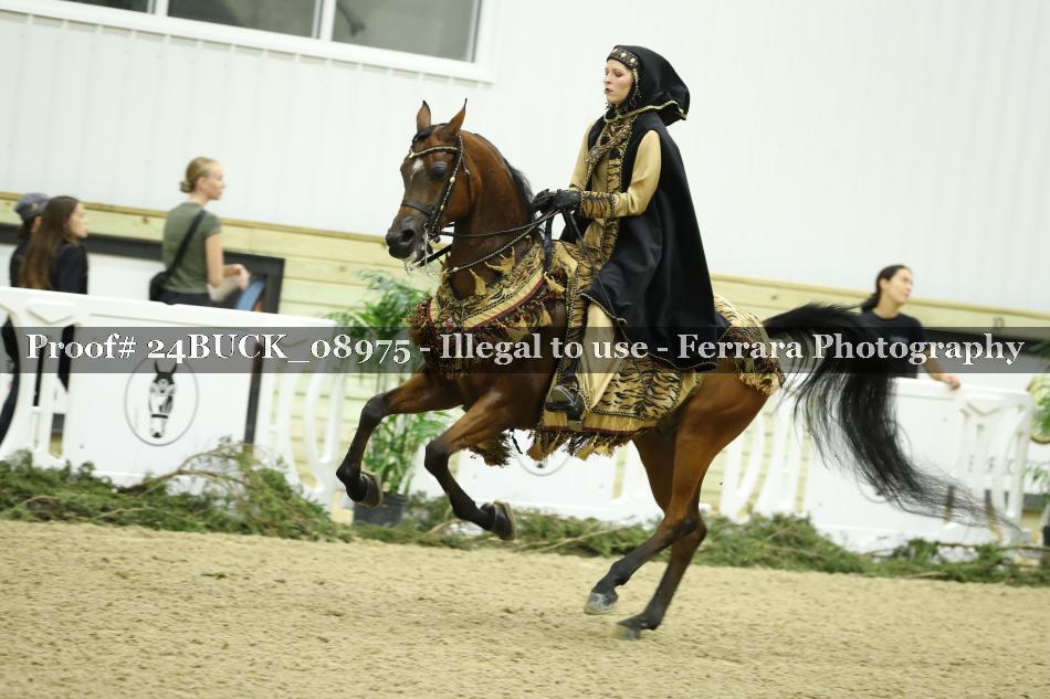 Proof 24BUCK_08975