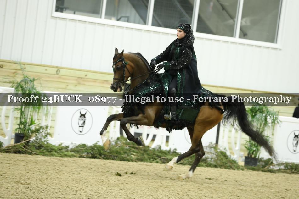 Proof 24BUCK_08977