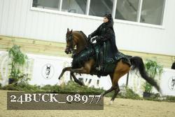 24BUCK_08977 proof