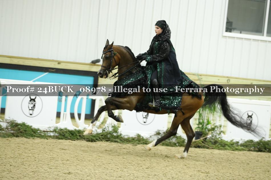 Proof 24BUCK_08978