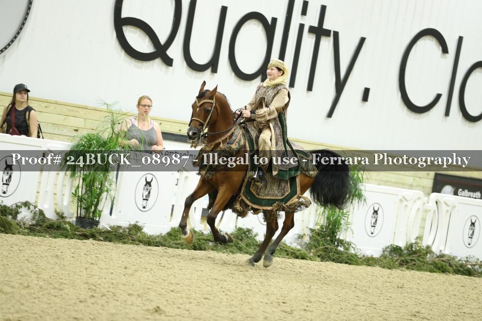Proof 24BUCK_08987