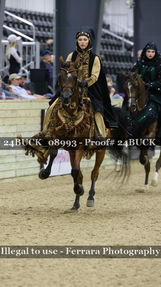 Proof 24BUCK_08993