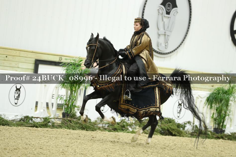 Proof 24BUCK_08996