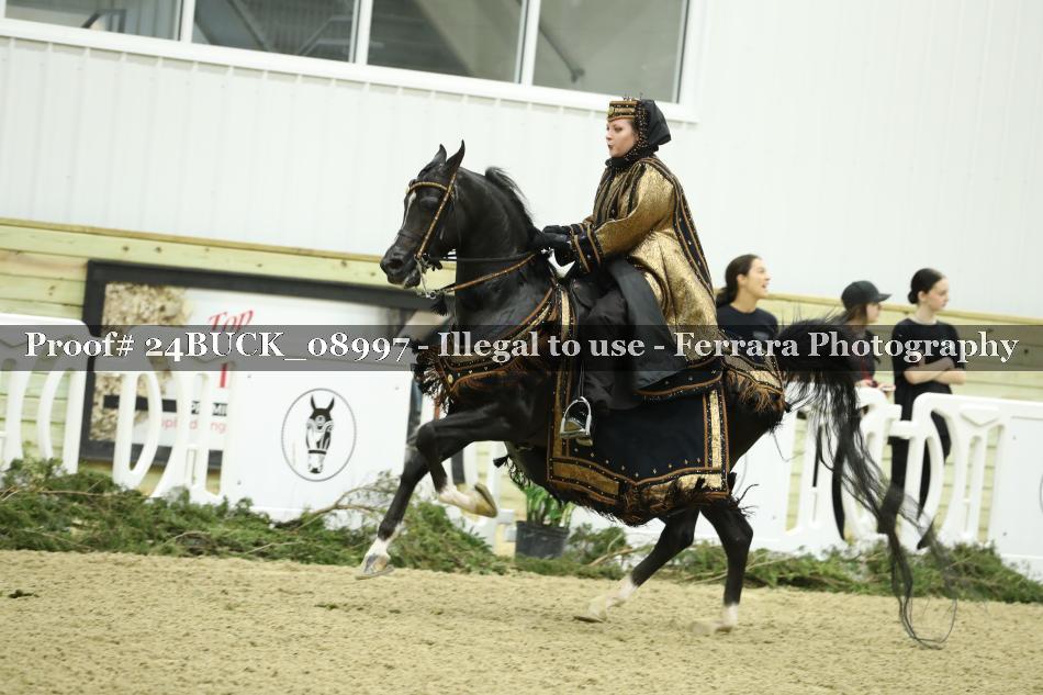 Proof 24BUCK_08997