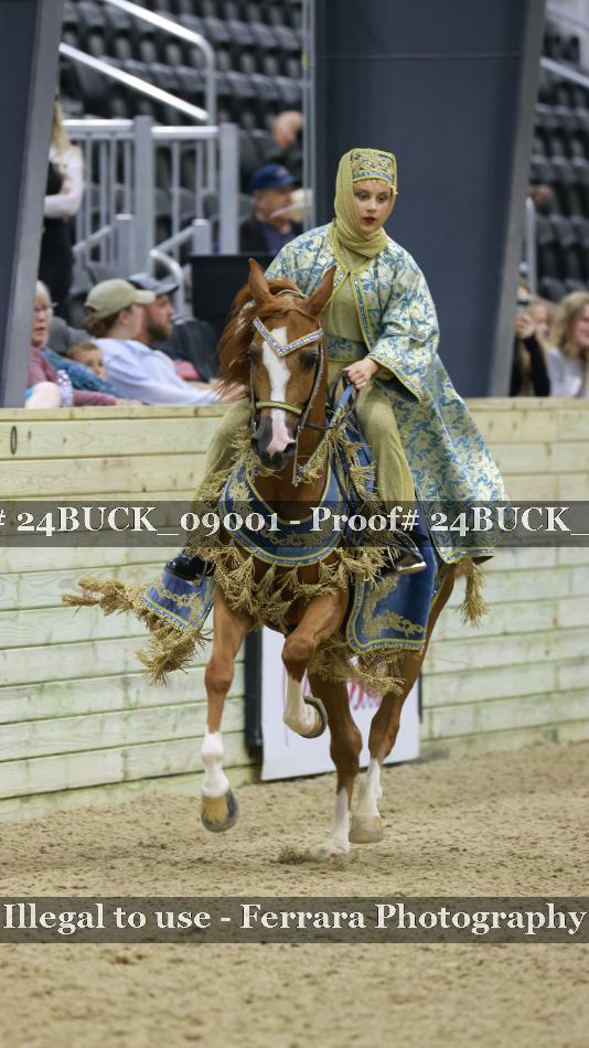 Proof 24BUCK_09001