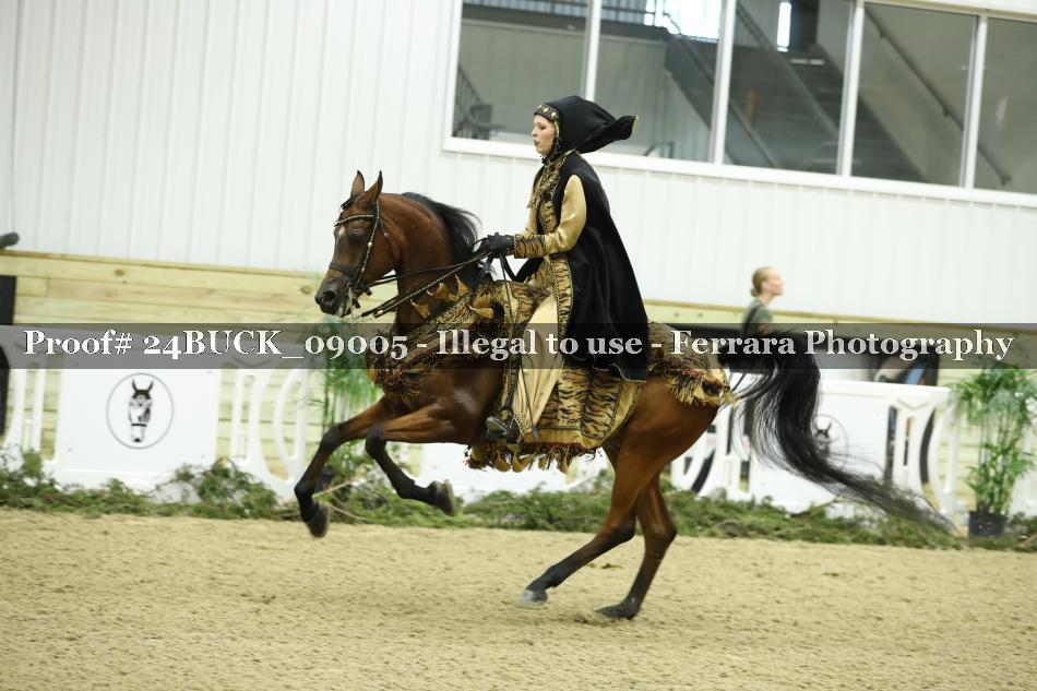 Proof 24BUCK_09005