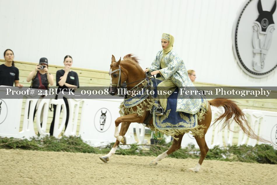 Proof 24BUCK_09008