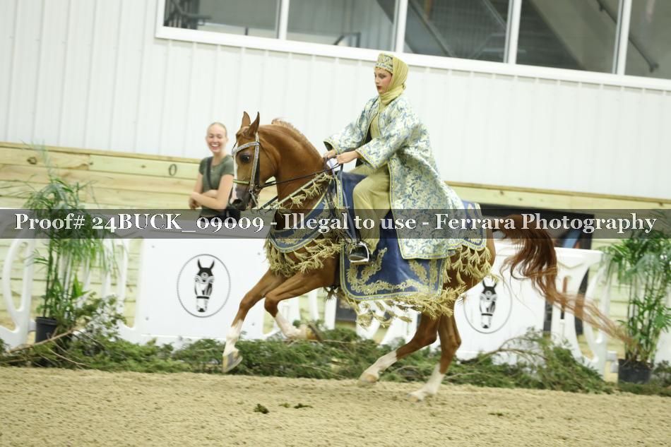 Proof 24BUCK_09009