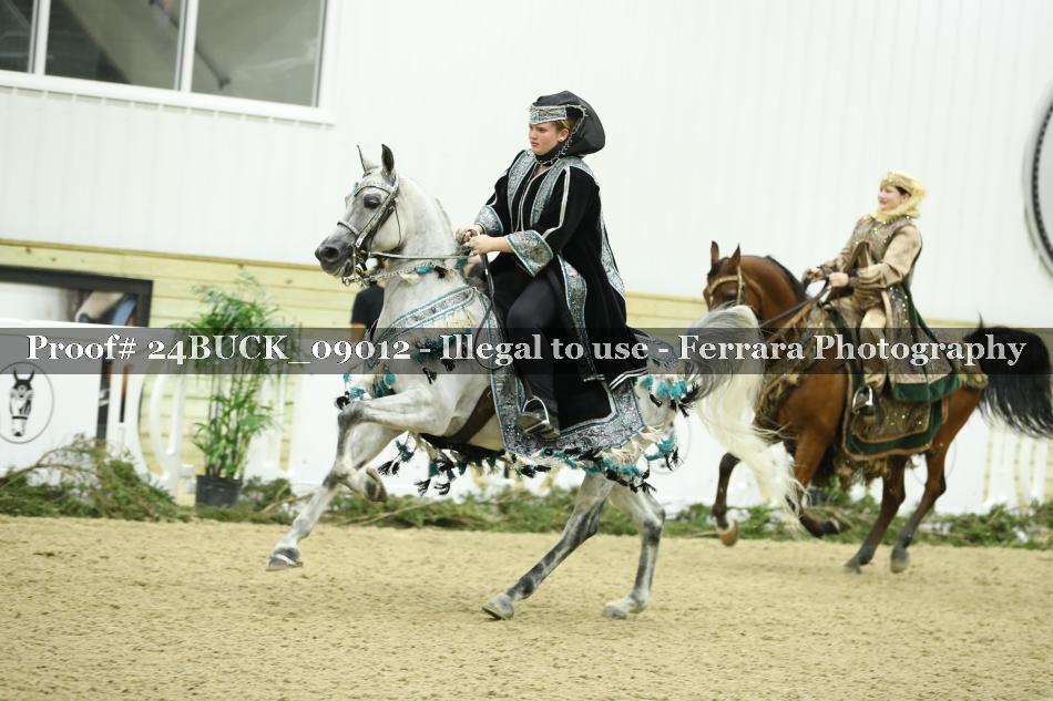 Proof 24BUCK_09012