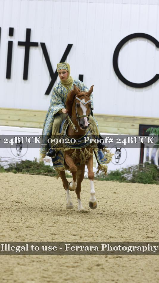 Proof 24BUCK_09020