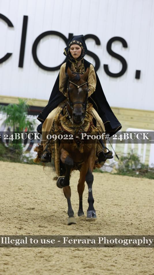 Proof 24BUCK_09022