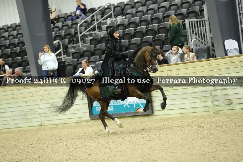 Proof 24BUCK_09027