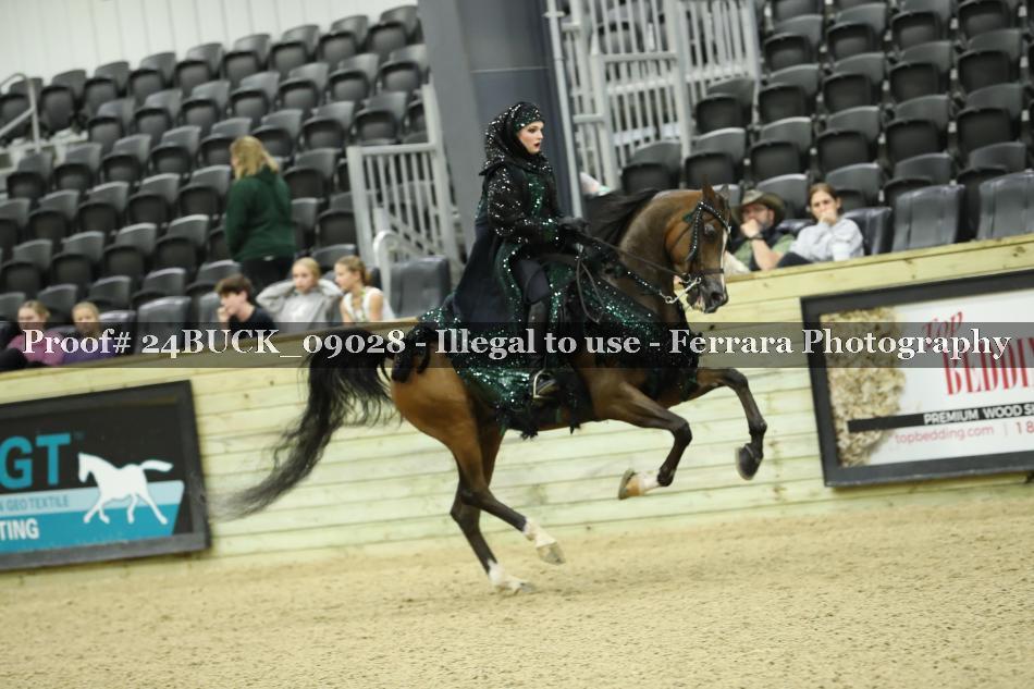 Proof 24BUCK_09028