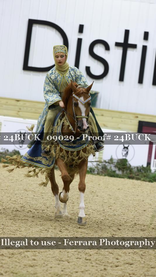 Proof 24BUCK_09029