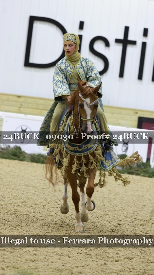 Proof 24BUCK_09030