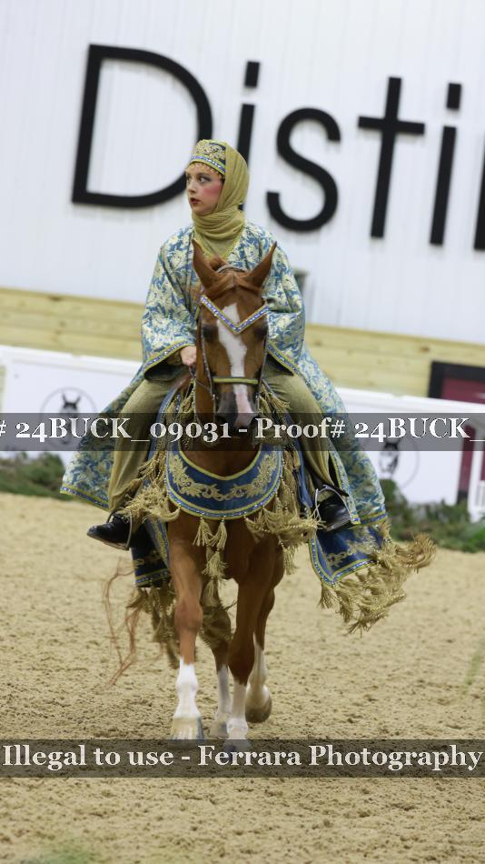 Proof 24BUCK_09031