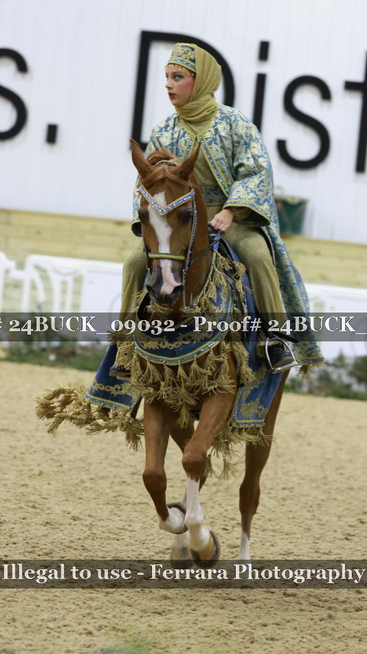 Proof 24BUCK_09032