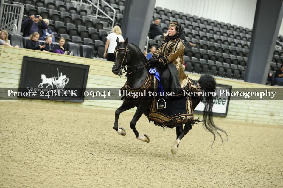 Proof 24BUCK_09041