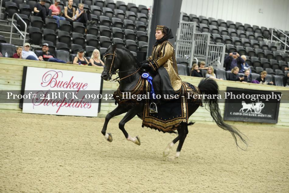 Proof 24BUCK_09042