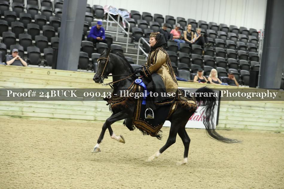 Proof 24BUCK_09043