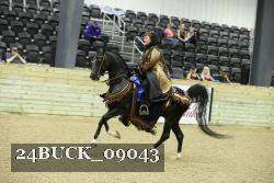 24BUCK_09043 proof