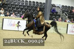 24BUCK_09046 proof