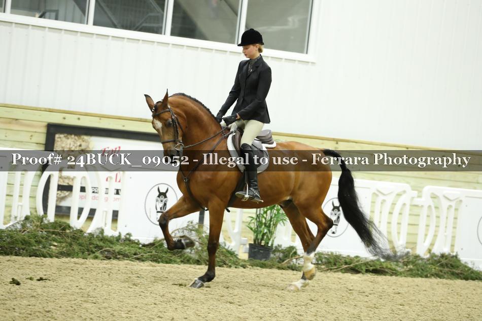 Proof 24BUCK_09052