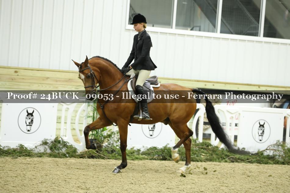 Proof 24BUCK_09053