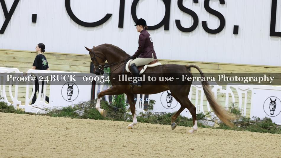Proof 24BUCK_09054