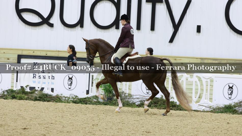 Proof 24BUCK_09055
